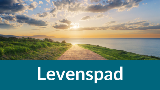 Levenspad dementie